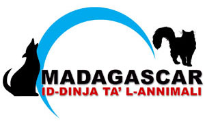 Madagascar Logo